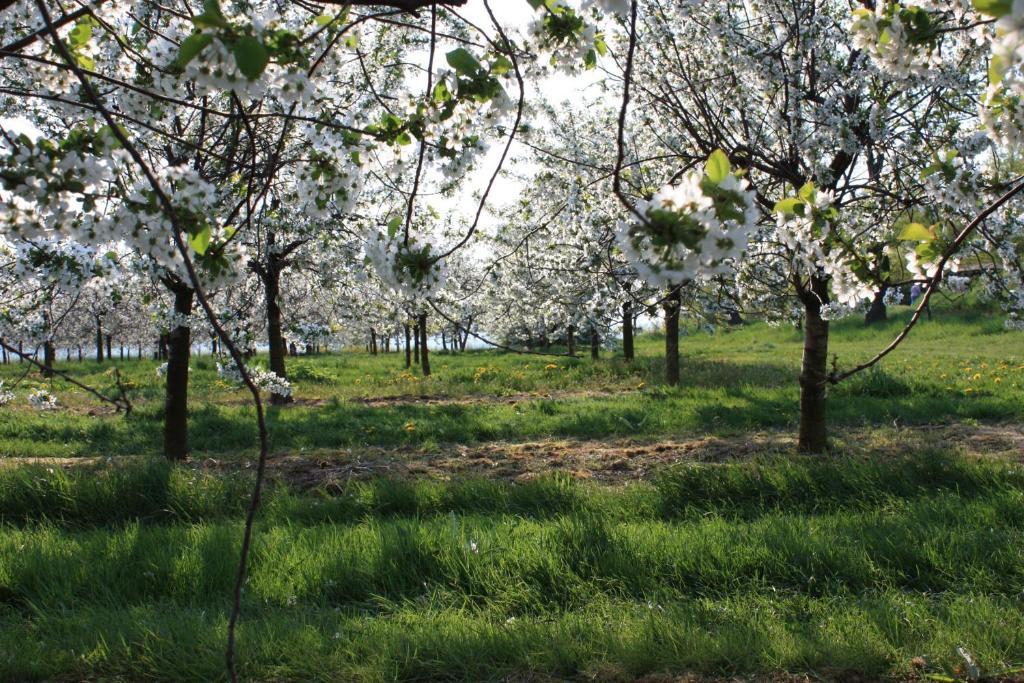 Kreischa Landhotel Rosenschaenke מראה חיצוני תמונה